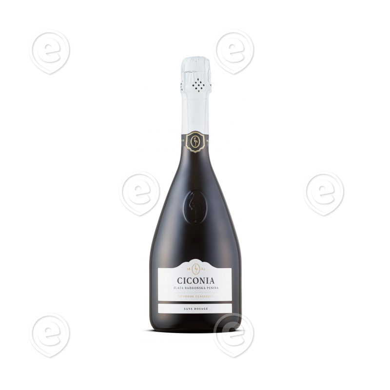 cicionia brut