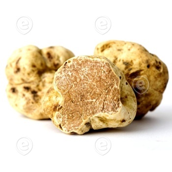 799-799_5f84058c02b189.94430798_white-truffle_large.jpg