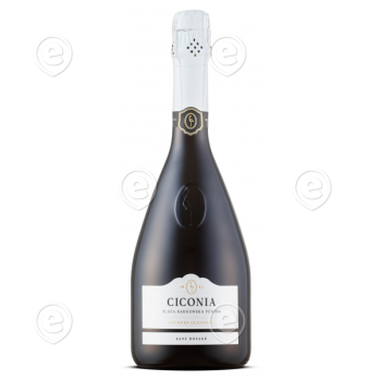 cicionia brut