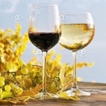  “Kaunid hetked” Sloveenia luksuslike veinide degustatsioon 30.11.2023 kell 19.00