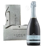 Kinkekomplekt Marine Brut sädelevas kinkekotis - küüleris