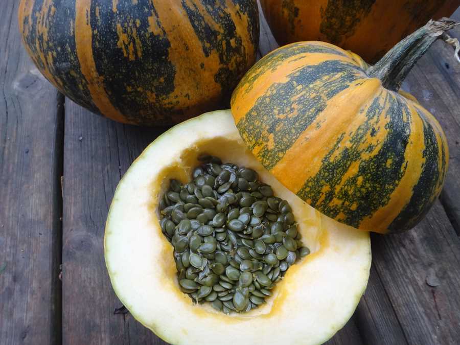 Styrian-Pumpkin-seeds.jpg (88 KB)